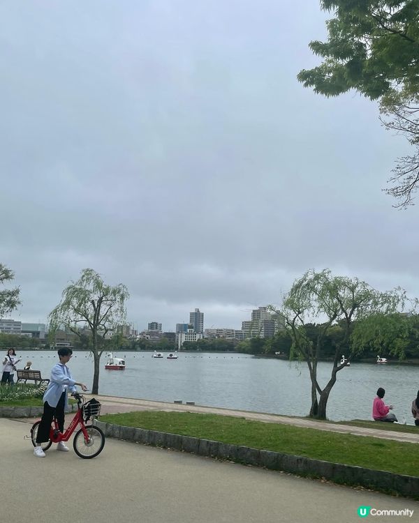 福岡遊の舞鶴公園🌸