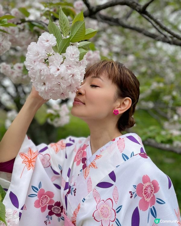 福岡遊の舞鶴公園🌸