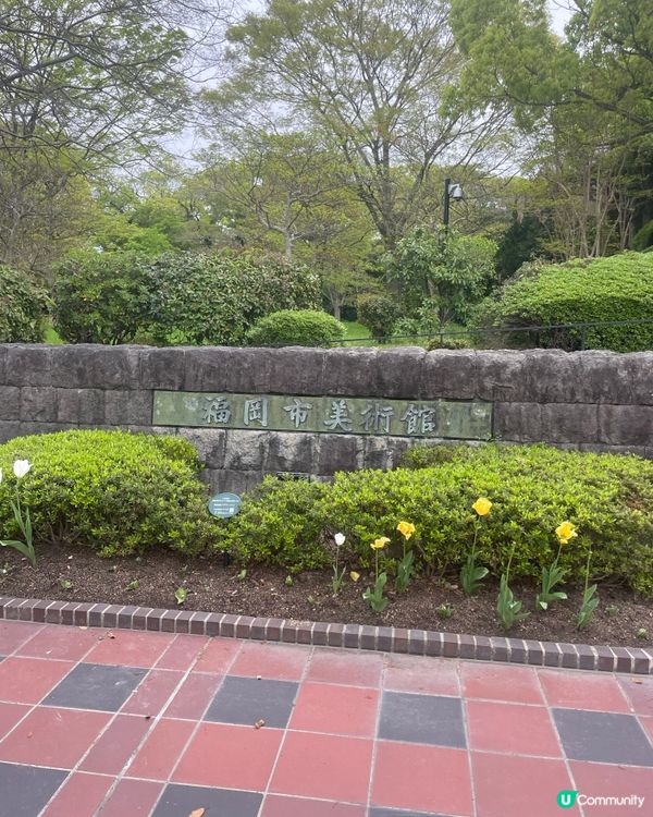 福岡遊の舞鶴公園🌸