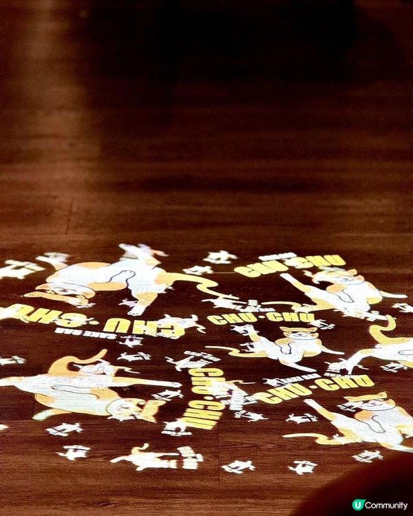 銅鑼灣貓貓裝飾の清酒吧