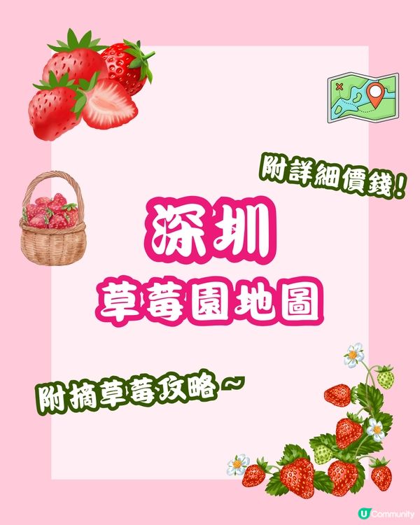 🍓深圳草莓園地圖 🗺 附價錢、摘士多啤梨TIPS🧺🌟