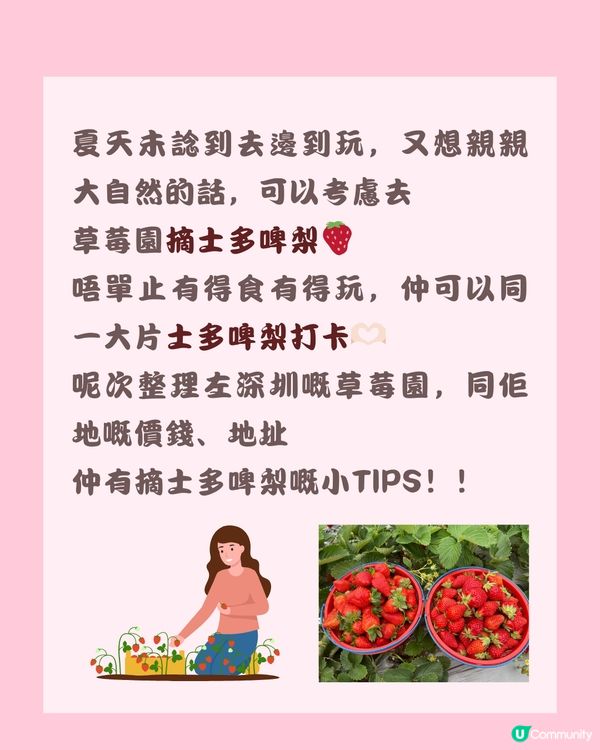 🍓深圳草莓園地圖 🗺 附價錢、摘士多啤梨TIPS🧺🌟