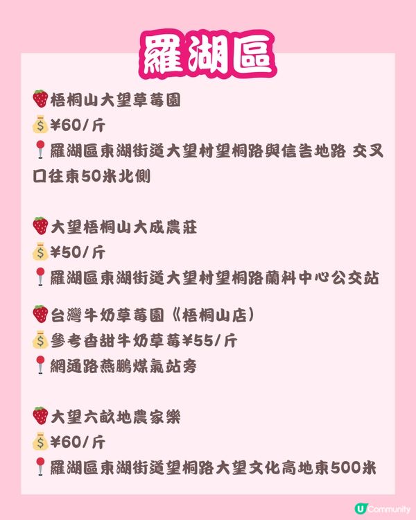 🍓深圳草莓園地圖 🗺 附價錢、摘士多啤梨TIPS🧺🌟