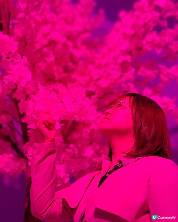 濟洲嘆景賞文化之旅