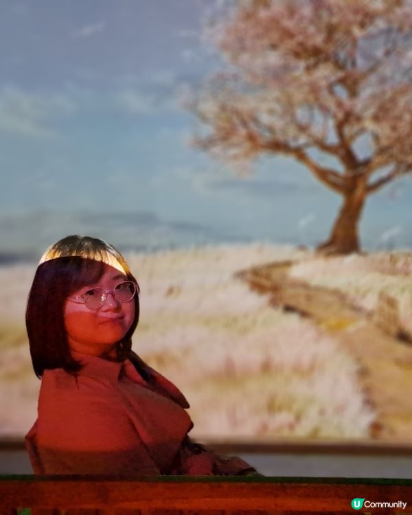 濟洲嘆景賞文化之旅