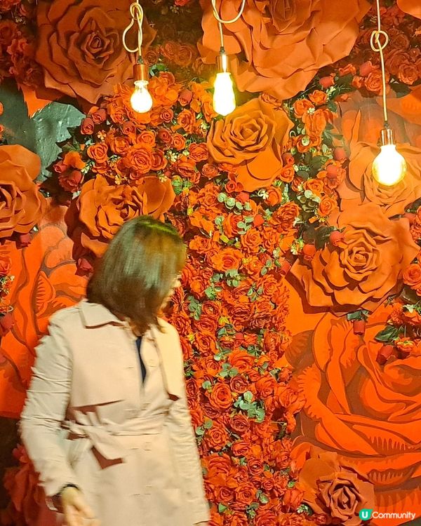 濟洲嘆景賞文化之旅