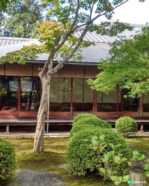 福岡裡的綠洲~大濠公園