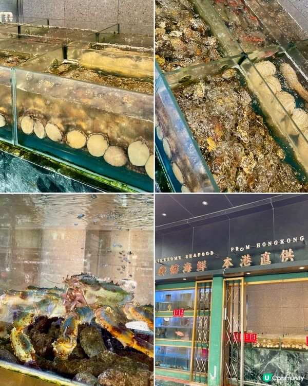 深圳雞煲🐔必點祿嬸鮑魚冬瓜雞煲