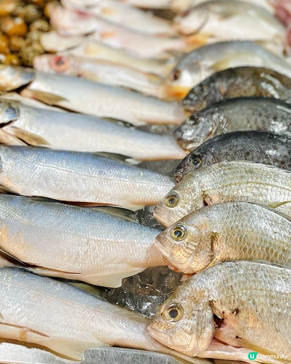 佐敦之哈哈蝦蝦笑