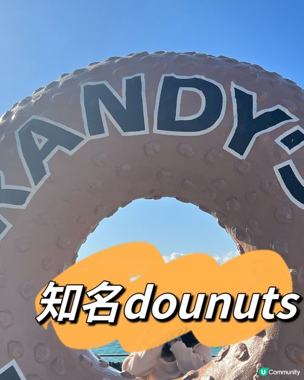 濟洲人氣donuts 店