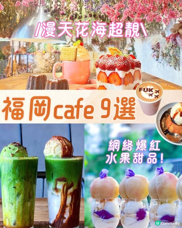 福岡必去Cafe 9選☕️網絡爆紅店/漫天花海/昭和風…