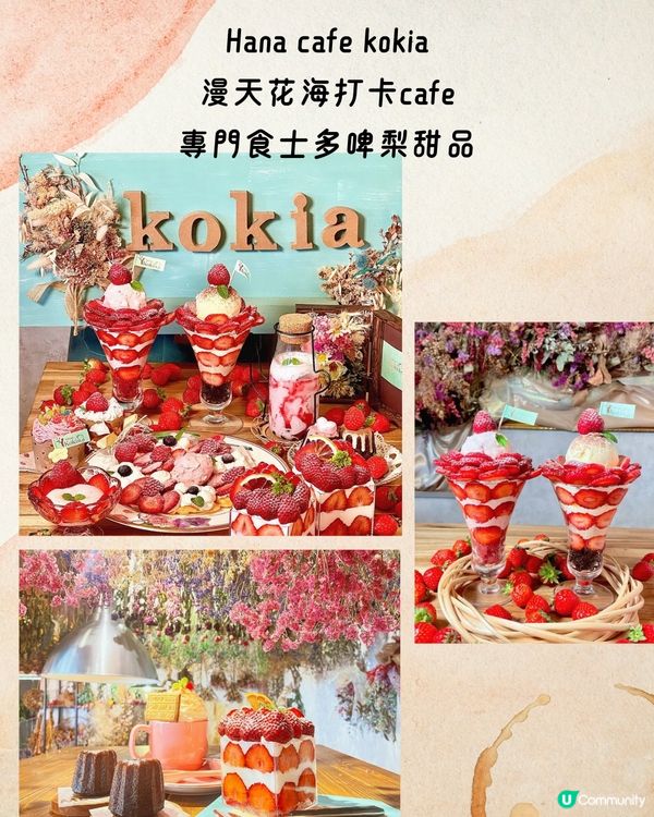 福岡必去Cafe 9選☕️網絡爆紅店/漫天花海/昭和風…