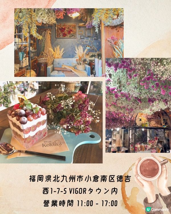 福岡必去Cafe 9選☕️網絡爆紅店/漫天花海/昭和風…