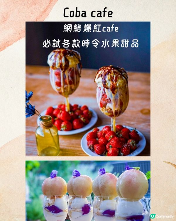 福岡必去Cafe 9選☕️網絡爆紅店/漫天花海/昭和風…