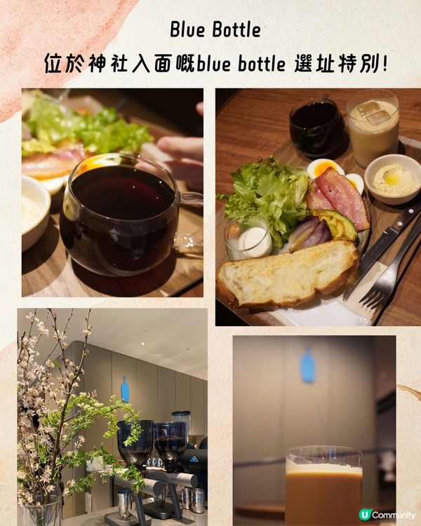 福岡必去Cafe 9選☕️網絡爆紅店/漫天花海/昭和風…