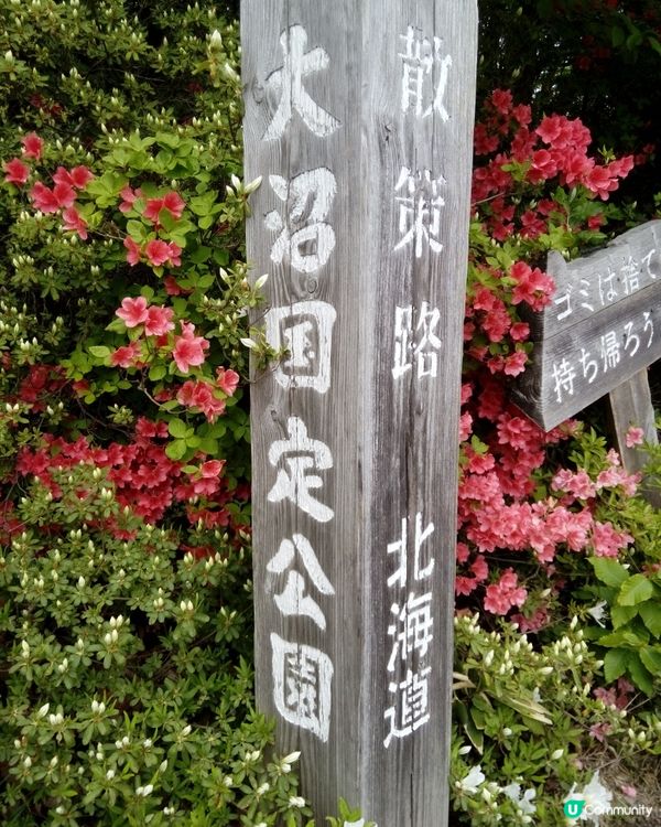 大沼国定公園散策