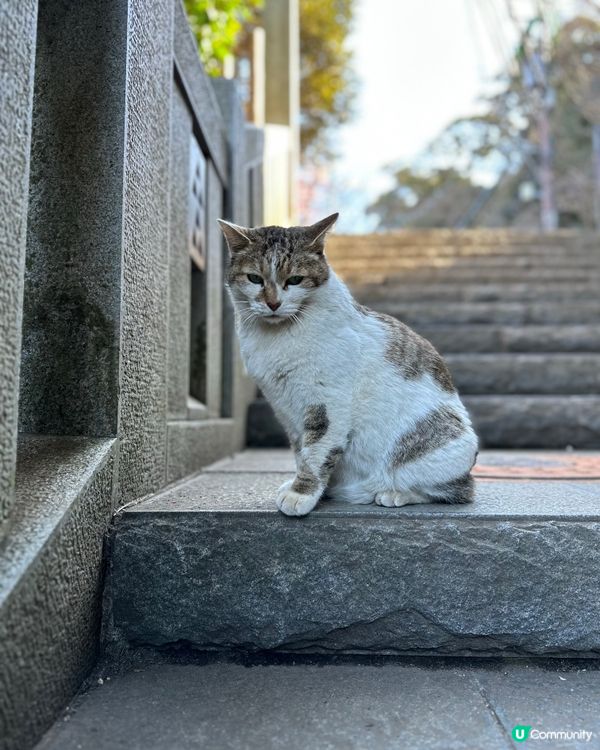 江之島一日遊🇯🇵