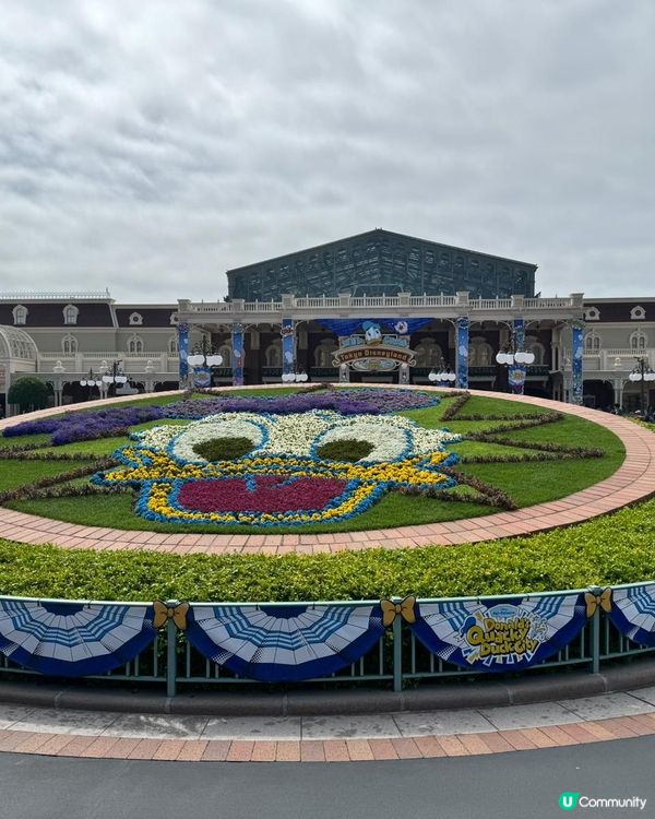 五日四夜快閃我去左兩日迪士尼