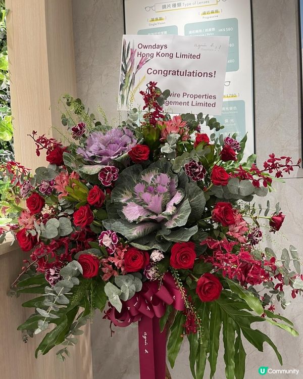 {{OWNDAYS 眼鏡店}}🎊新張優惠🎉🎉🎉