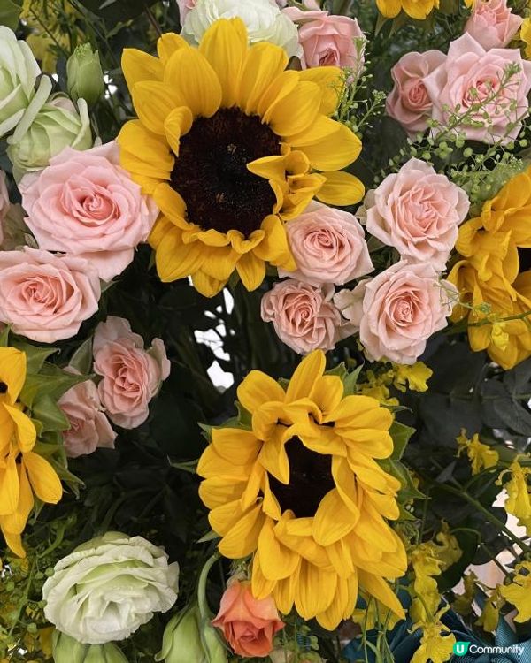 {{OWNDAYS 眼鏡店}}🎊新張優惠🎉🎉🎉