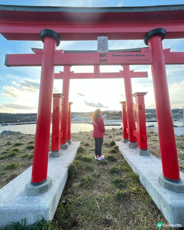 🦋海嘯奇蹟烏居😎