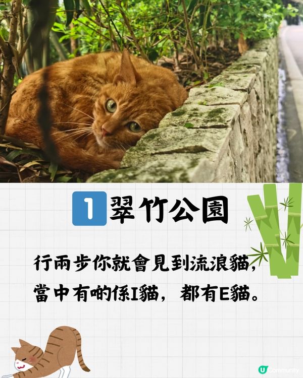 深圳翠竹公園🎋金啤坊一日遊🍺附送交通教學🚇