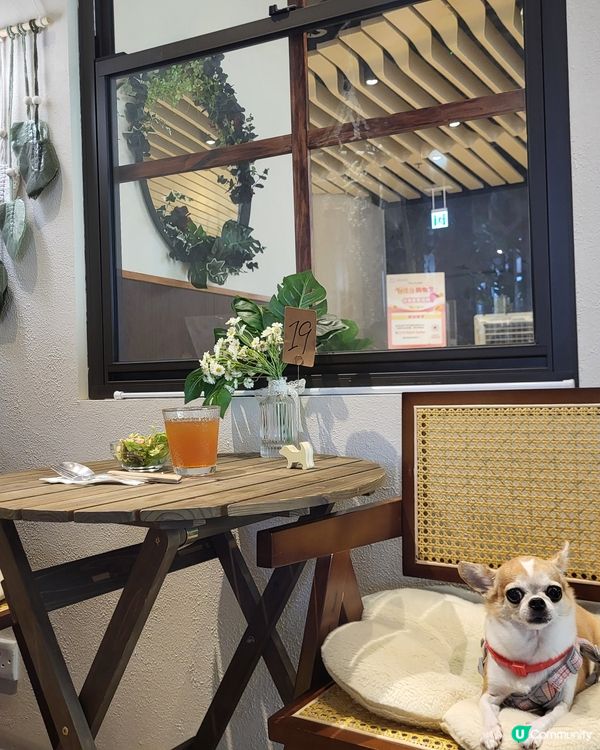 寵物友善餐廳