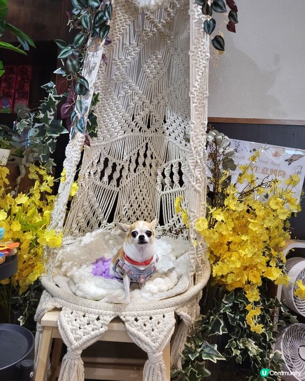 寵物友善餐廳