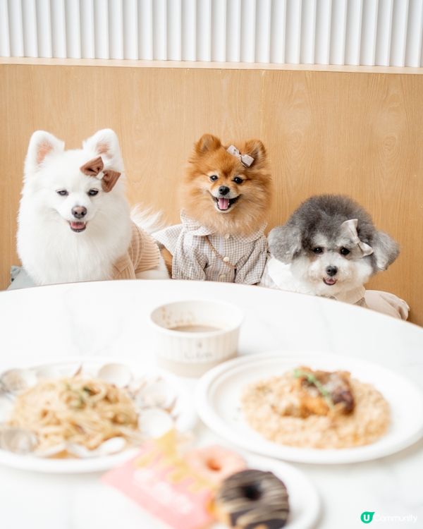 推介✨北角匯室內寵物友善餐廳✨可落地