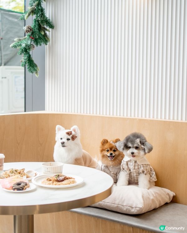推介✨北角匯室內寵物友善餐廳✨可落地