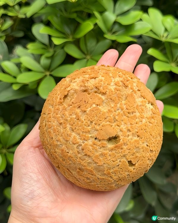 $4個手掌大麻薯波波/傳統麵包糕點好齊全