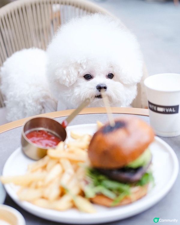 寵物友善餐廳💕
