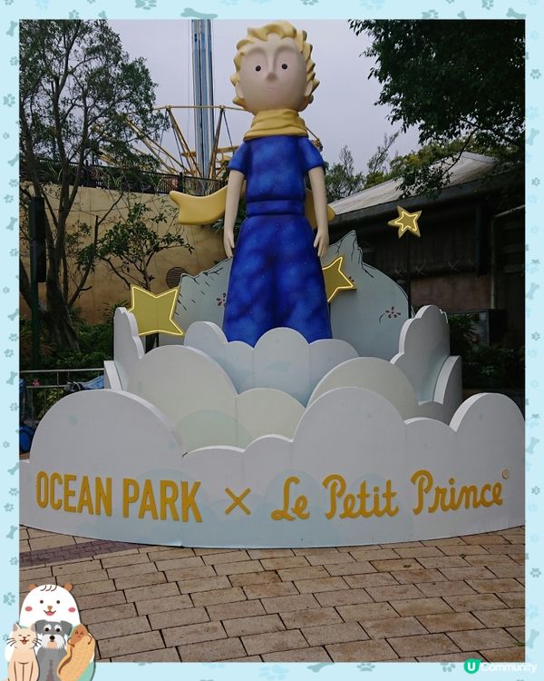 海洋公園參見小王子❤️