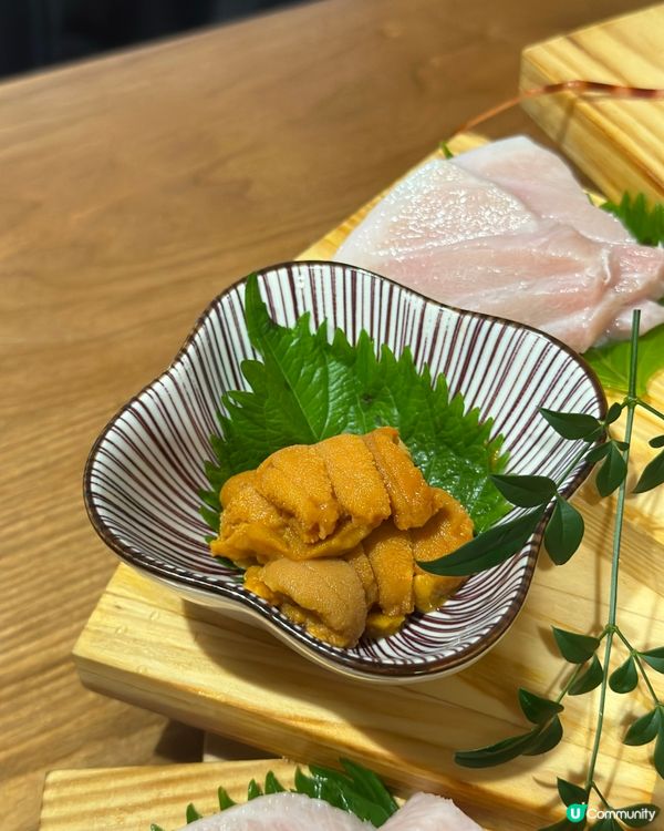 打卡必點❗️武士之魂刺身盛🤩