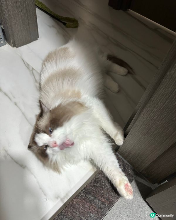 一起身又懶嗲咁