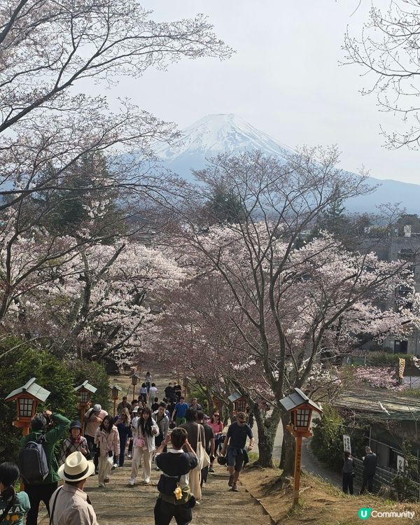 多角度 富士山一日遊