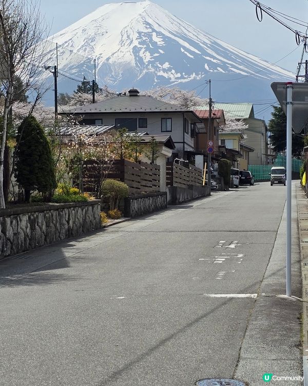 多角度 富士山一日遊