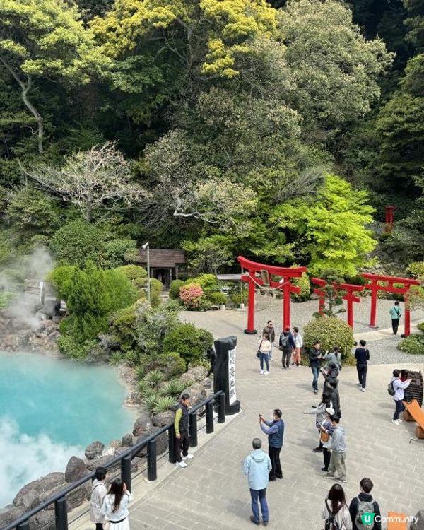 【日本自駕】九州熊本6天自駕遊行程整合（熊本→ 阿蘇→ 別府→ 由布院→ 熊本）