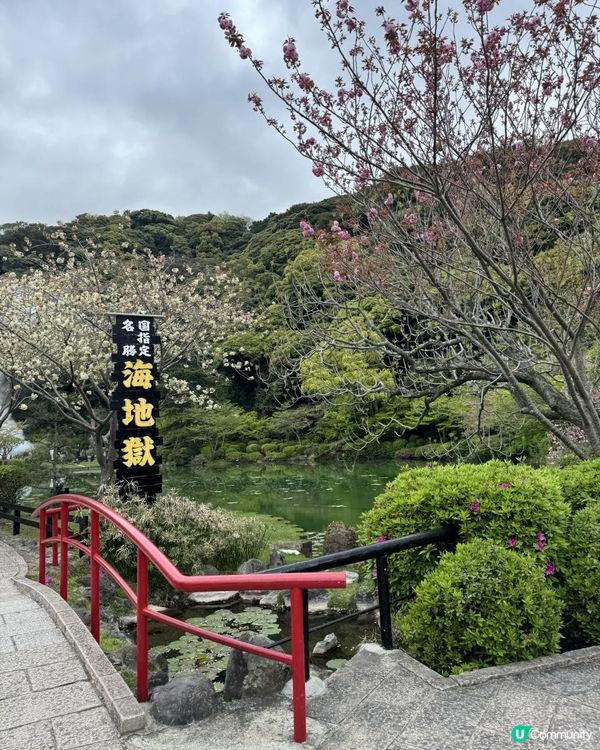 【日本自駕】九州熊本6天自駕遊行程整合（熊本→ 阿蘇→ 別府→ 由布院→ 熊本）