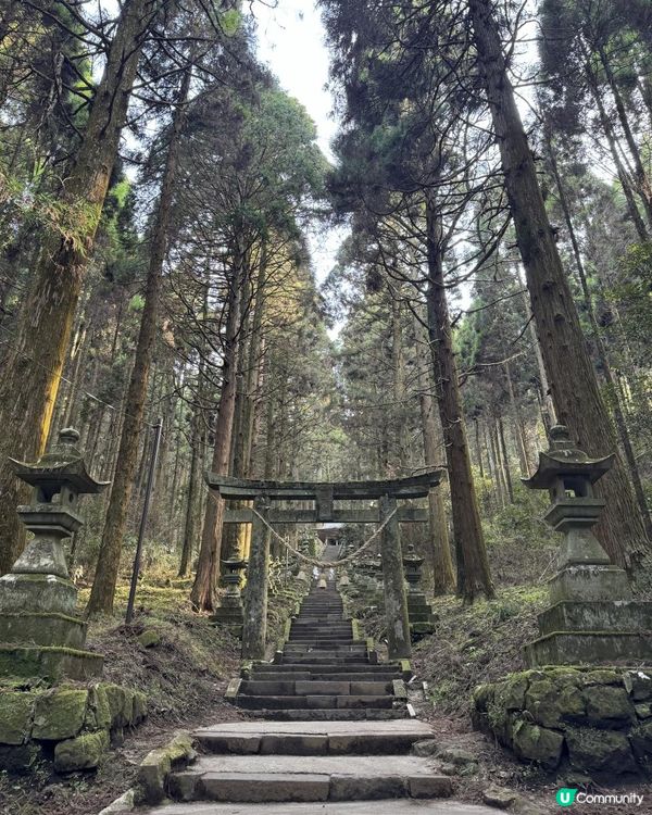 【日本自駕】九州熊本6天自駕遊行程整合（熊本→ 阿蘇→ 別府→ 由布院→ 熊本）