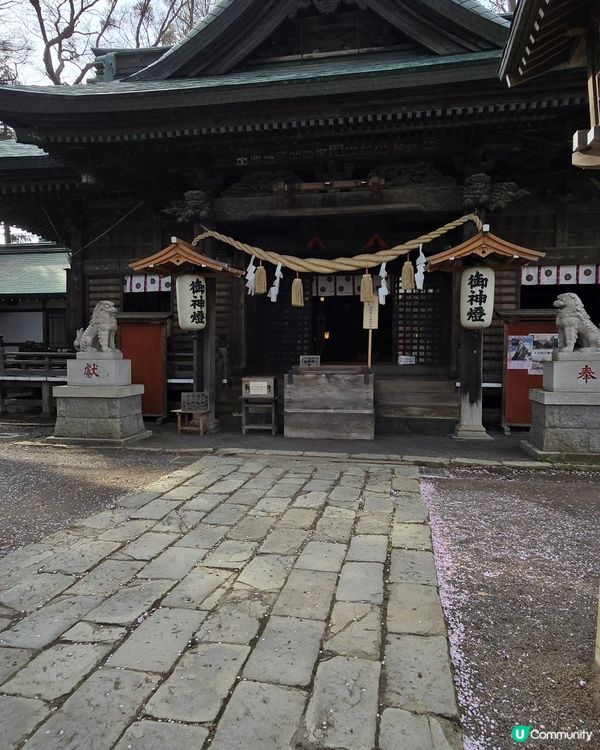 多角度 富士山一日遊