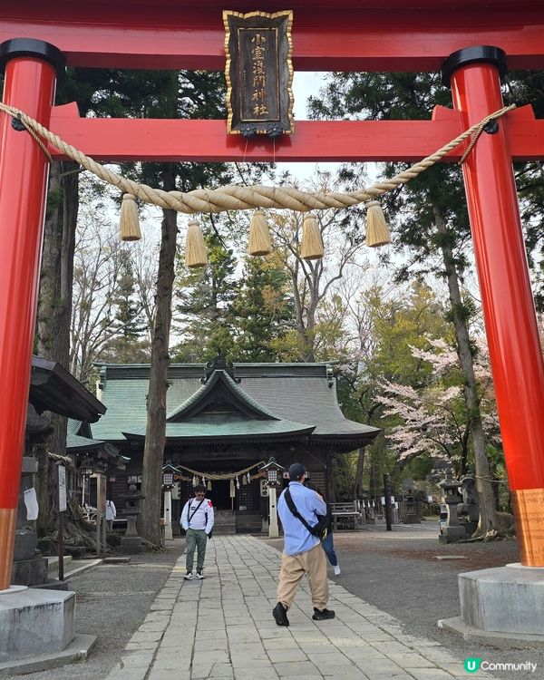 多角度 富士山一日遊