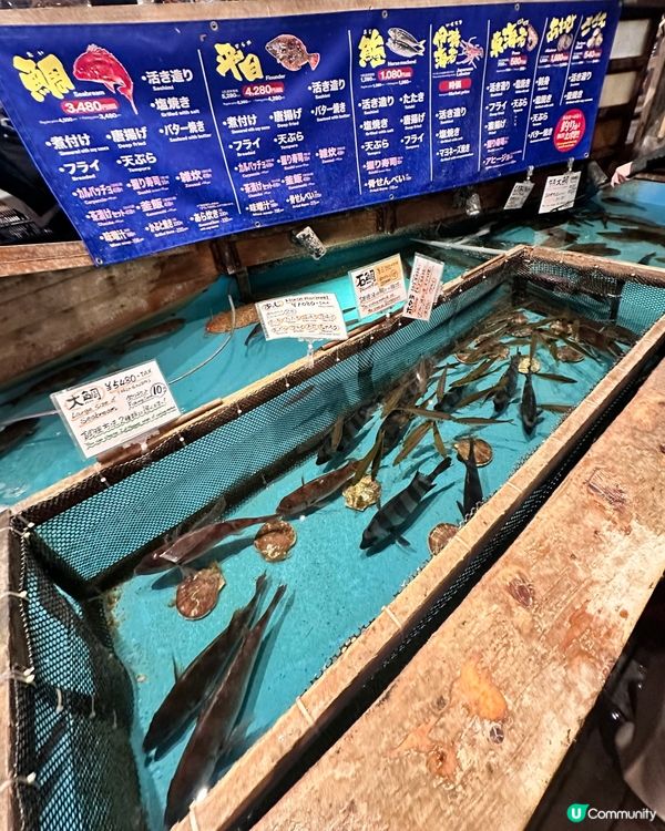 好食又好玩的釣船茶屋