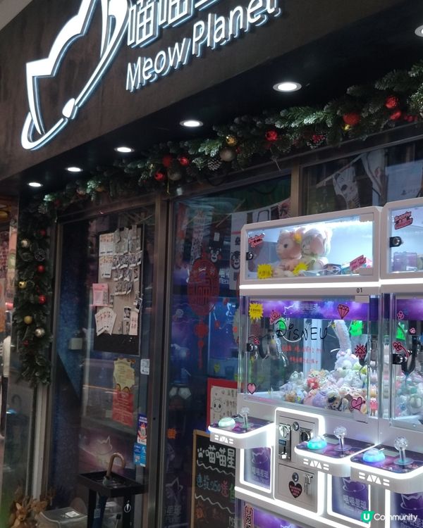 花貓控好去處，呢間夾公仔店有貓店長，貓店長好cutie呢😍