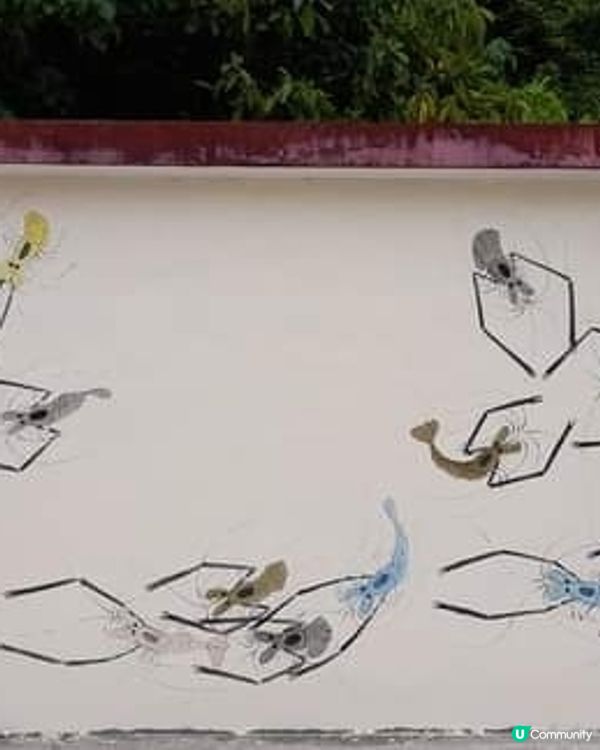 雷神雨神終於收工了🌞