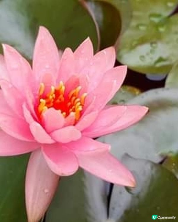 雷神雨神終於收工了🌞