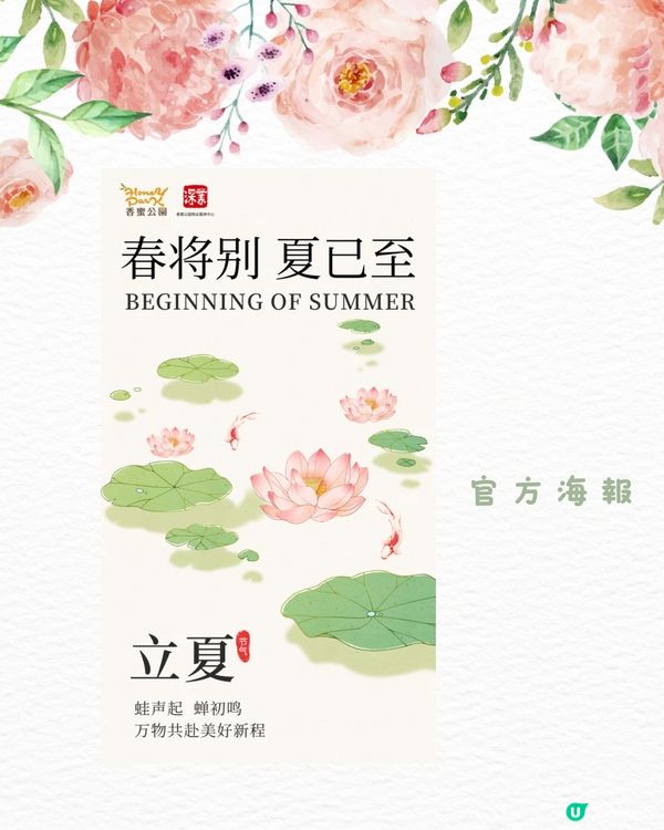 🌹深圳市中心絕美莫奈花園 浪漫花海 地鐵直達🚇