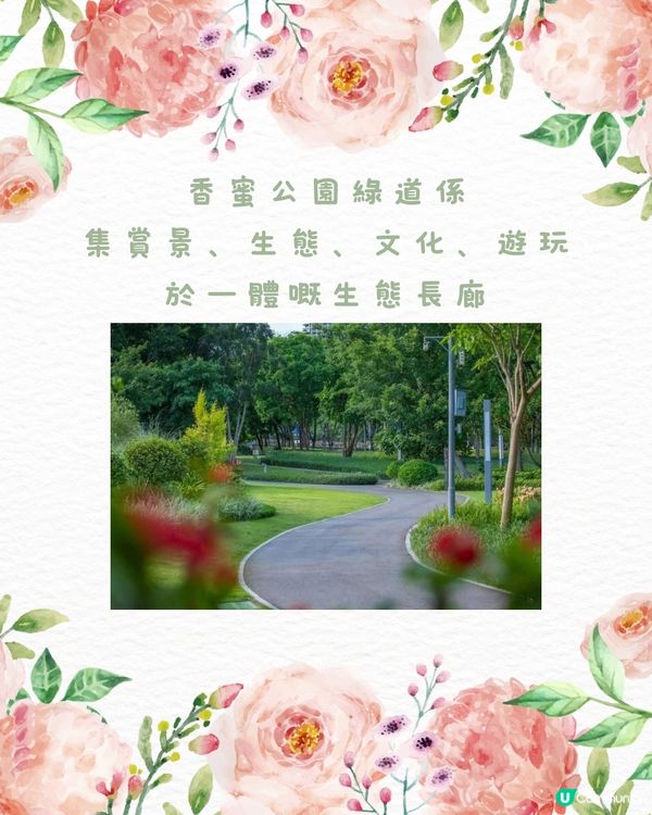 🌹深圳市中心絕美莫奈花園 浪漫花海 地鐵直達🚇