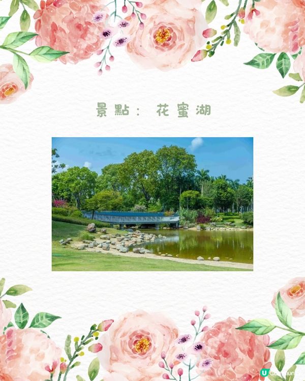 🌹深圳市中心絕美莫奈花園 浪漫花海 地鐵直達🚇