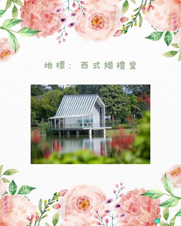 🌹深圳市中心絕美莫奈花園 浪漫花海 地鐵直達🚇